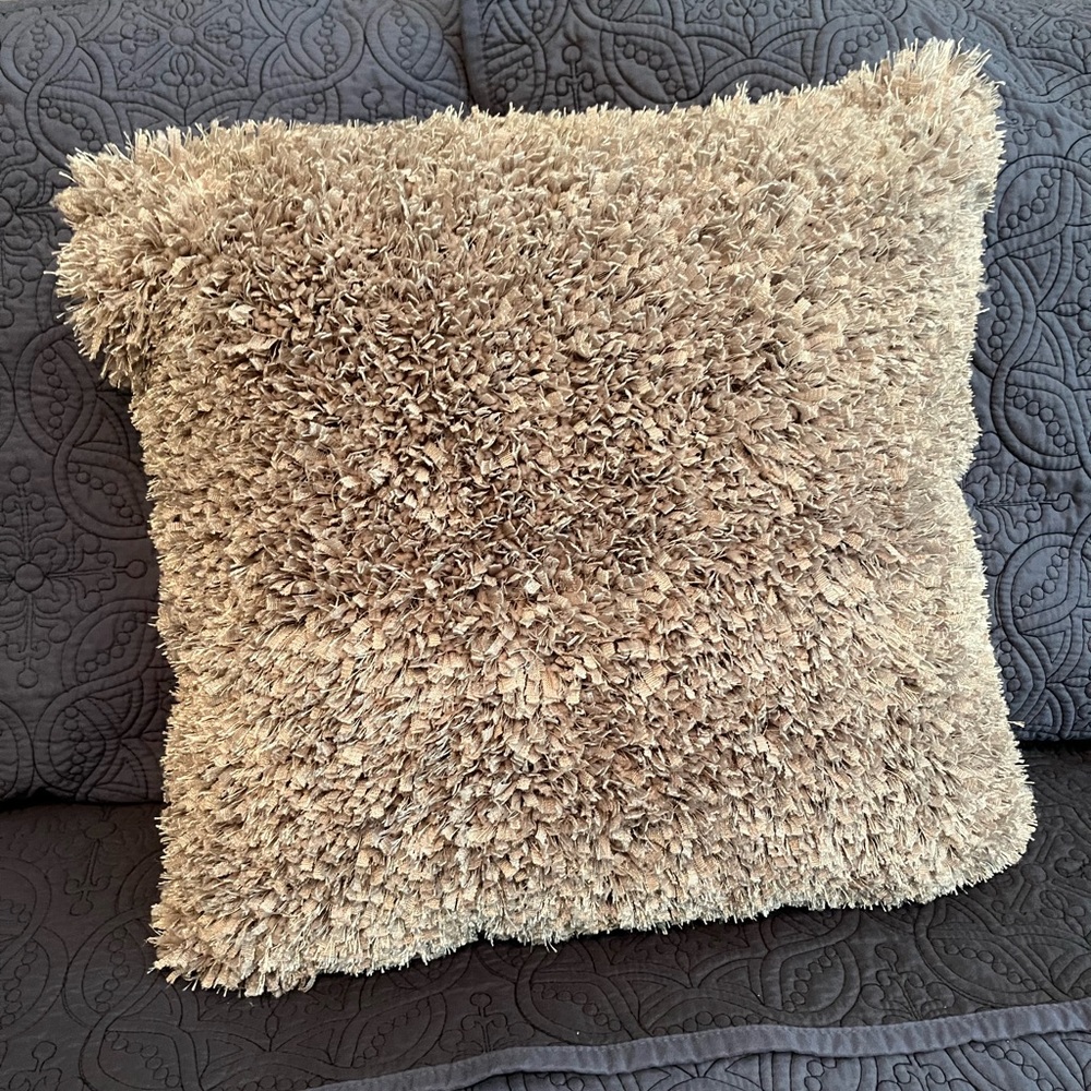 Gray Accent Pillow